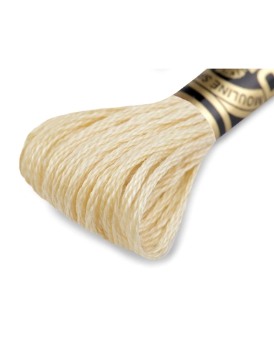 Osztott hímzőfonal DMC Mouliné Spécial Cotton - 1 db. | Mimib