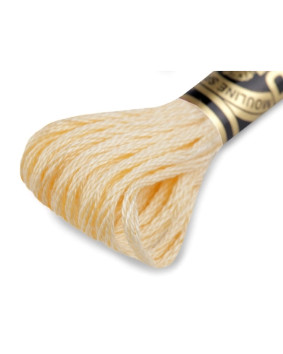 Osztott hímzőfonal DMC Mouliné Spécial Cotton - 1 db. | Mimib