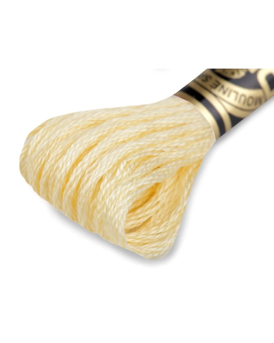 Osztott hímzőfonal DMC Mouliné Spécial Cotton - 1 db. | Mimib