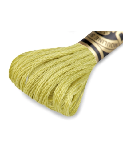 Osztott hímzőfonal DMC Mouliné Spécial Cotton - 1 db. | Mimib