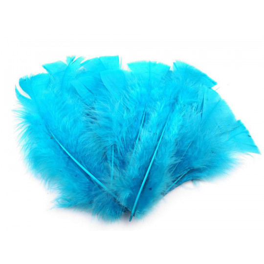 Pulyka toll hossza 11-17 cm | Mimib