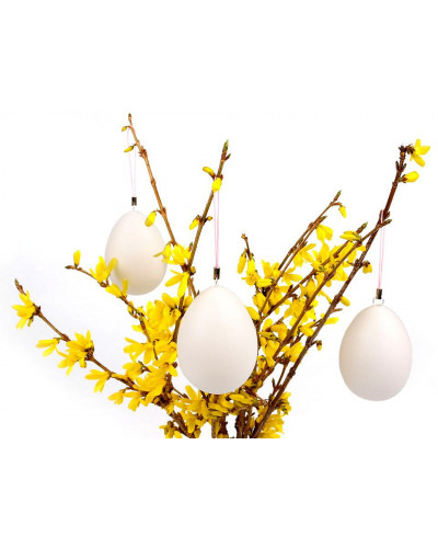 Műanyag tojás 46x64 mm akasztóval | Mimib