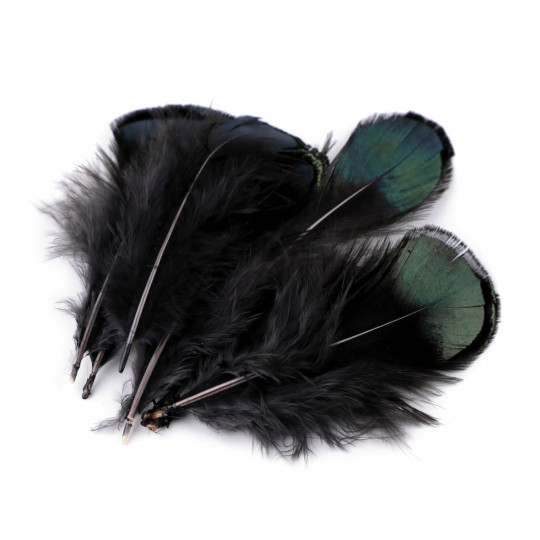 Fácán toll hossza 4,5-9 cm | Mimib