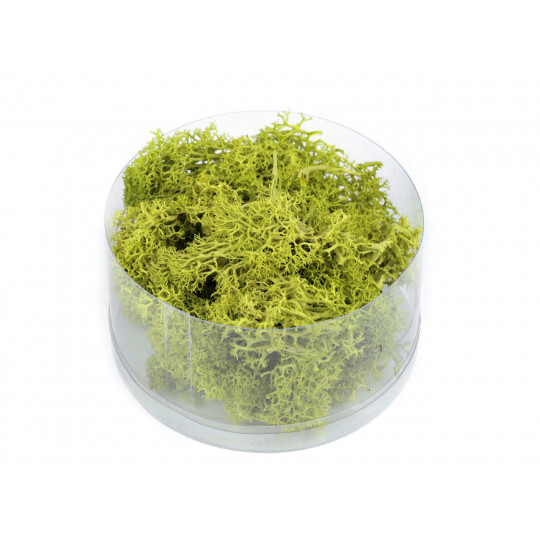 Stabilizált / előkészített moha 20 g dobozban | Mimib