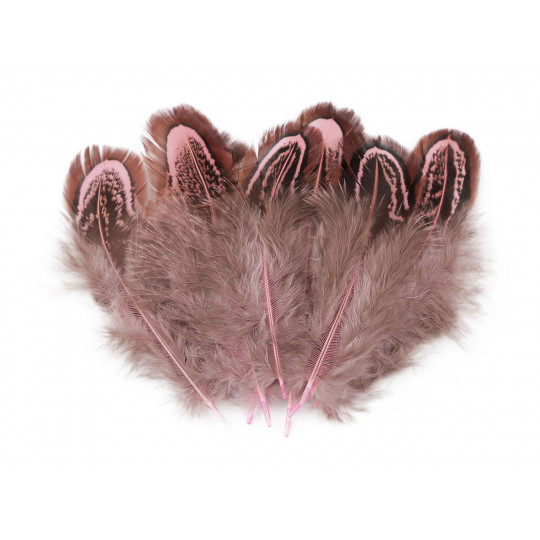 Fácán toll hossza 5-7 cm | Mimib