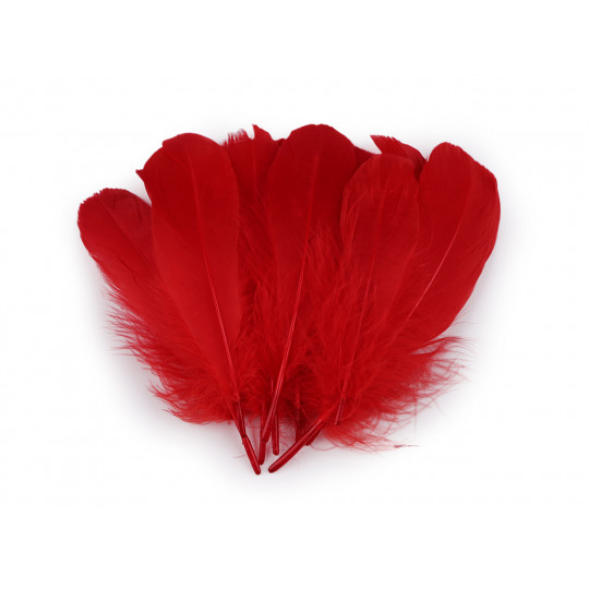 Toll hossza 14-18 cm - 10 db. | Mimib