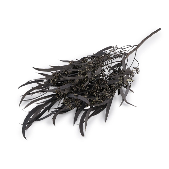 Stabilizovaný eukalyptus zväzok - 1 zväzok | Mimib