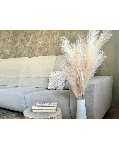 Pampová tráva - 1 ks | Mimib