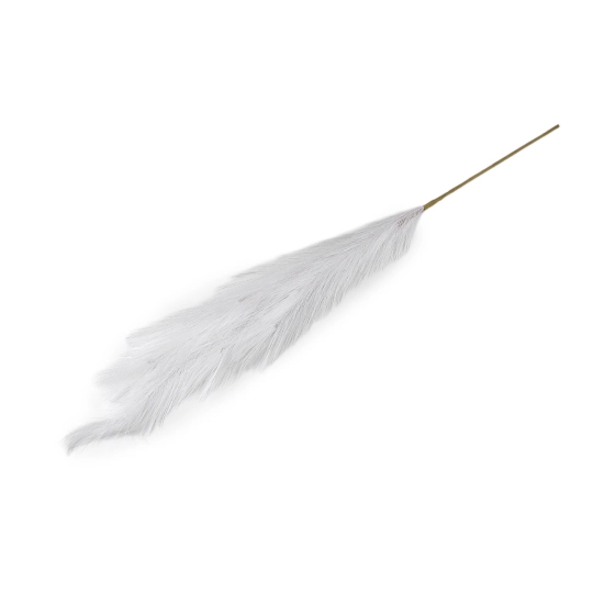 Pampová tráva - 1 ks | Mimib