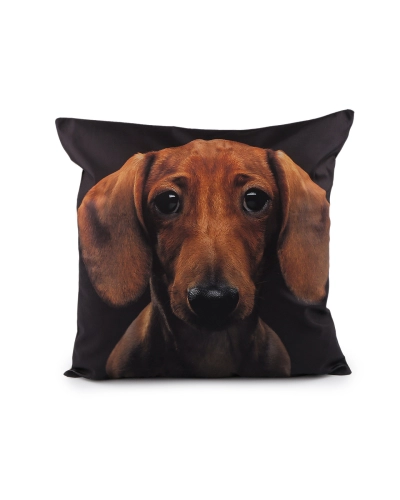 Zamatová obliečka na vankúš pes, mačka 45x45 cm - 1 ks | Mimib