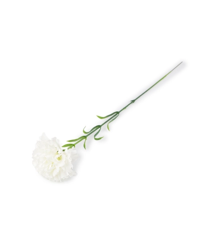 Umelý klinček - 1 ks | Mimib