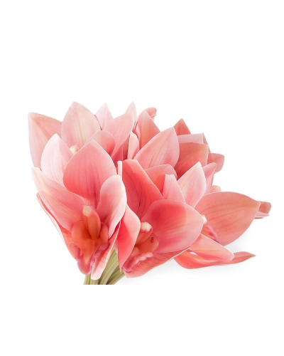 Umelá orchidea zväzok - 1 zväzok | Mimib