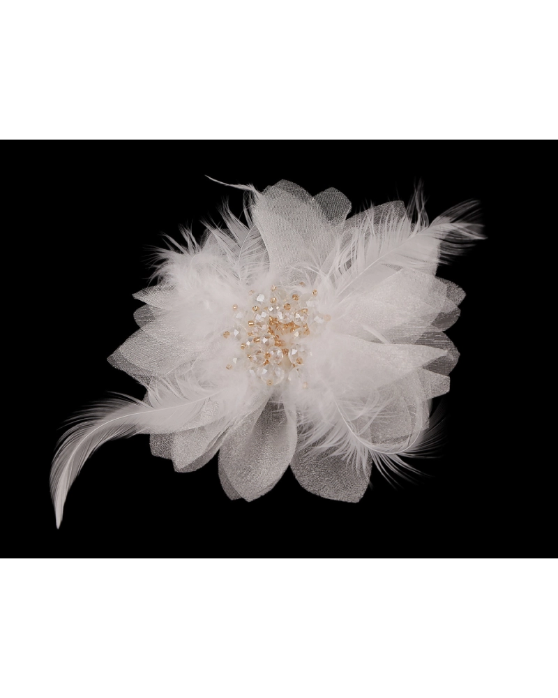 Brošňa so sklenenými brúsenými korálikmi a perím - 1 ks | Mimib