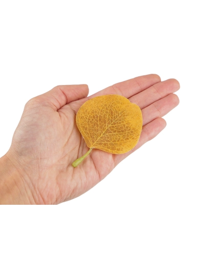 Umelý list eukalyptus na aranžovanie - 20 ks | Mimib