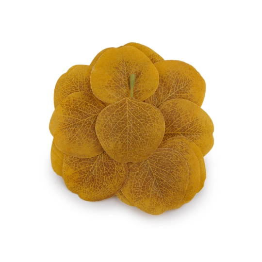 Umelý list eukalyptus na aranžovanie - 20 ks | Mimib