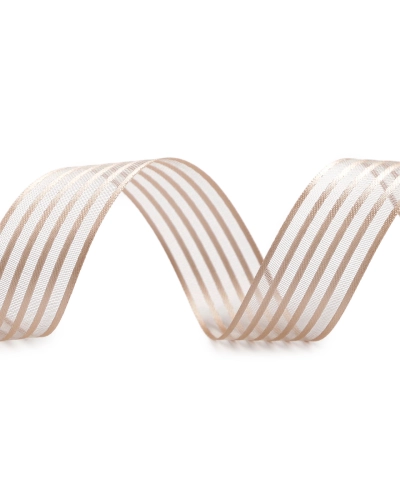 Atlasová stuha s monofilom šírka 25 mm - 10 m | Mimib