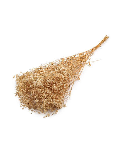 Stabilizovaný nevestin závoj zväzok - 1 zväzok | Mimib