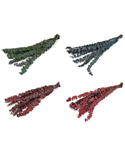 Stabilizovaný eukalyptus zväzok - 1 zväzok | Mimib