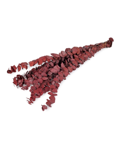 Stabilizovaný eukalyptus zväzok - 1 zväzok | Mimib