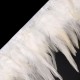 Paszomány - kakastoll szélesség 12 cm 1m