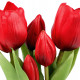 Élethű cserepes tulipán 1db.