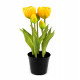 Élethű cserepes tulipán 1db.
